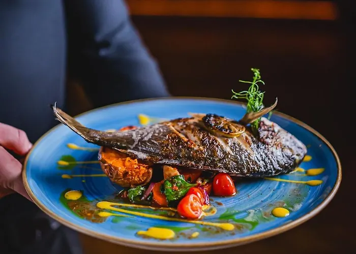 Bristol Tradition And Luxury Rzeszów